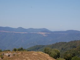 DSC_8704-1