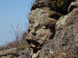 DSC_0209-1~0