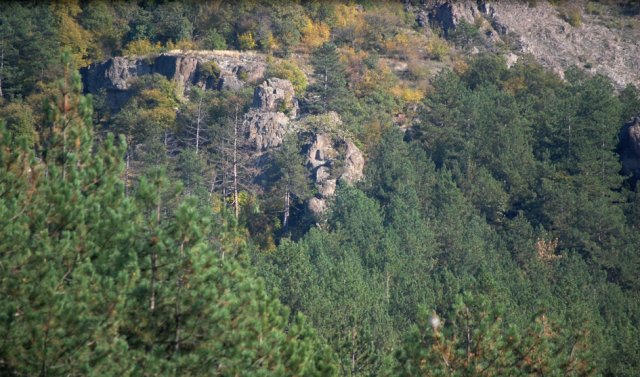 DSC_1913-1~0