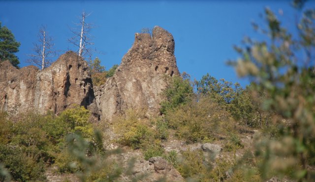 DSC_1931-1~0