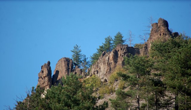 DSC_1945-1~0