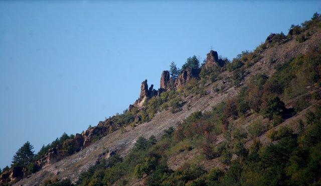 DSC_1961-1~0