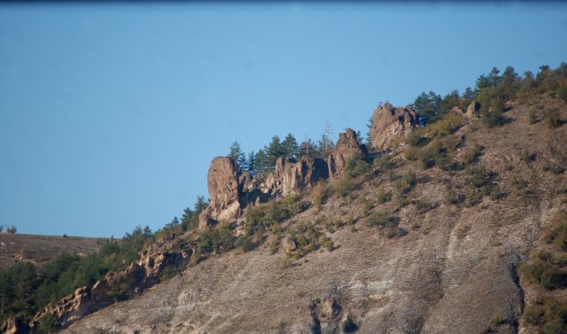 DSC_1978-1