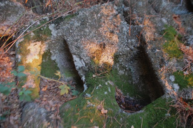 DSC_9421-1