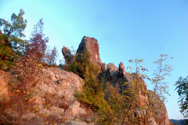 DSC_9433-1~0