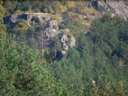 DSC_1913-1~0