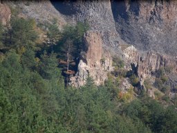 DSC_1915-1~0