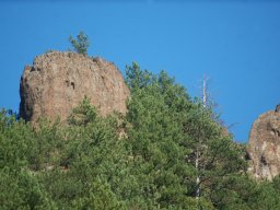 DSC_1924-1~0
