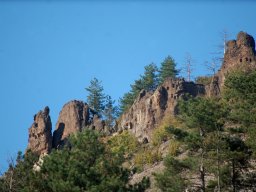 DSC_1945-1~0