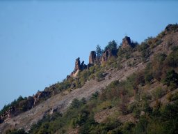 DSC_1961-1~0
