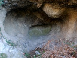 DSC_9400-1