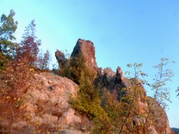 DSC_9433-1~0