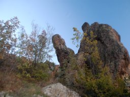 DSC_9458-1~0
