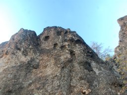 DSC_9463-1~0