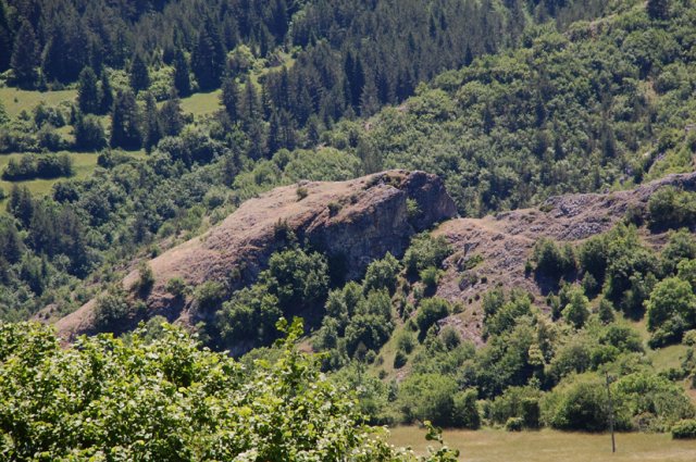 DSC_2158-1