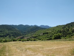 DSC_2162-1