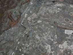 DSC_8385