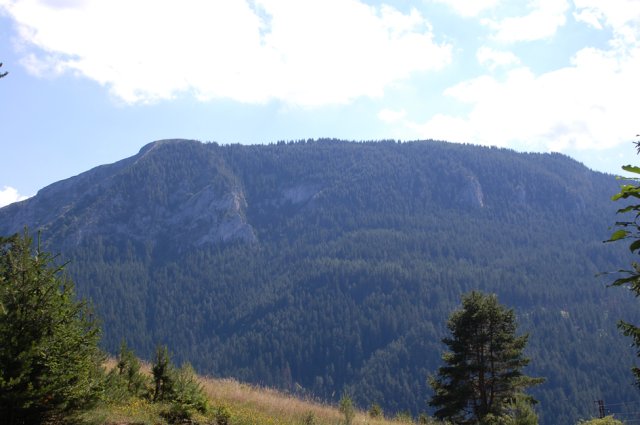 DSC_7875-1