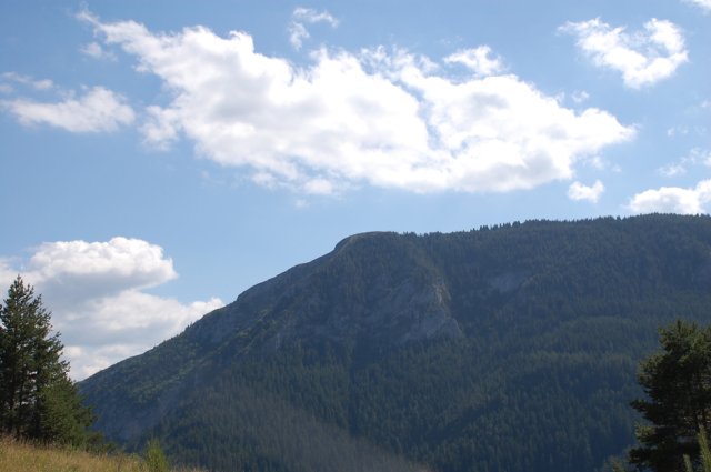 DSC_7877-1
