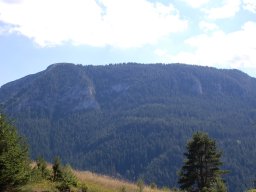 DSC_7875-1