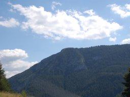 DSC_7877-1