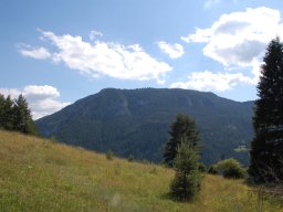 DSC_7879-1