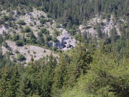 DSC_7880-1