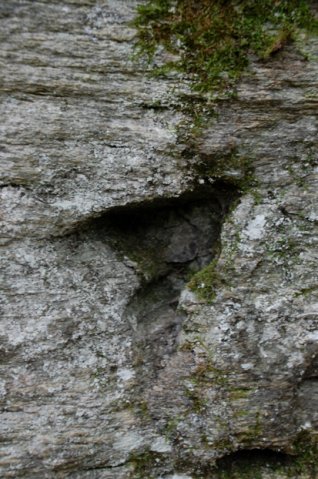 DSC_7314-1