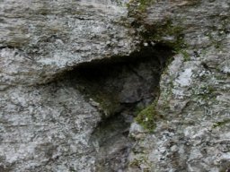 DSC_7314-1