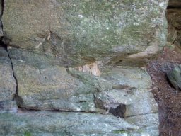 DSCN0053-1