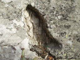 PB010210