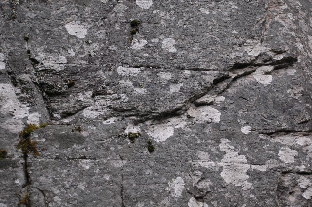 DSC_4086