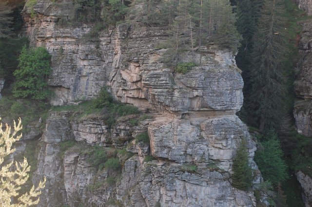 DSC_4230