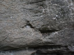 DSC_4378