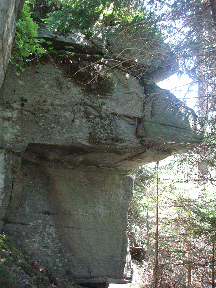 P6290080