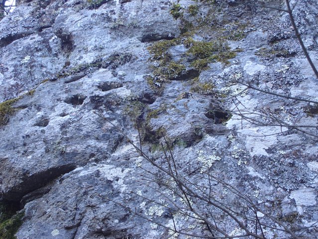 DSC00693