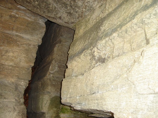 DSC02567