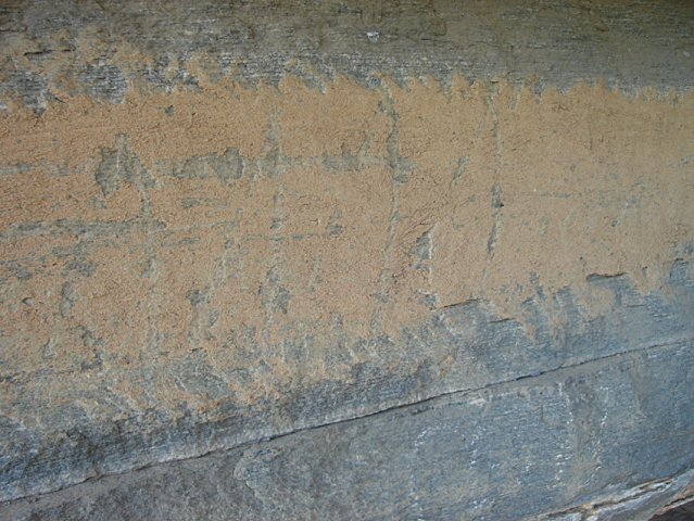 DSC02865