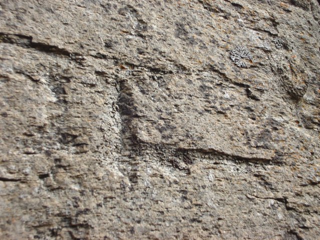 DSC03087