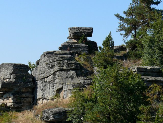 P1040715-2