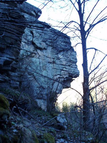 P3220099