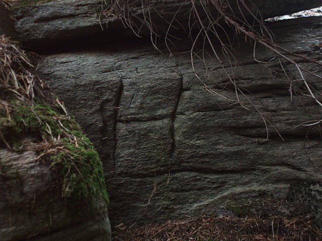 P9010098-1