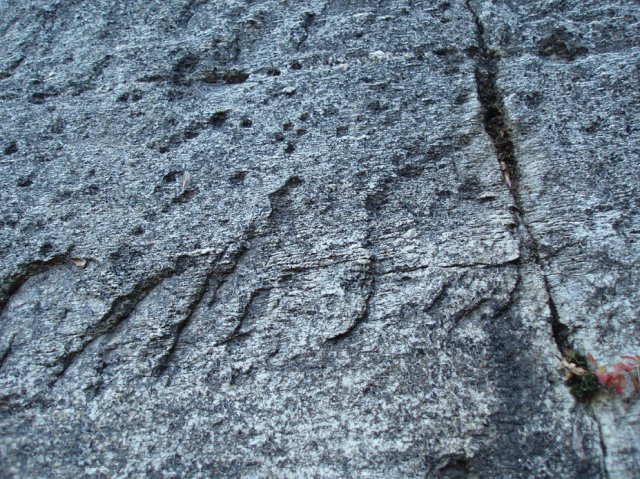 PB030055