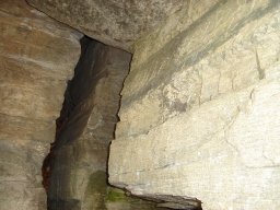 DSC02567