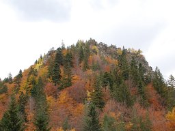 DSC_8852