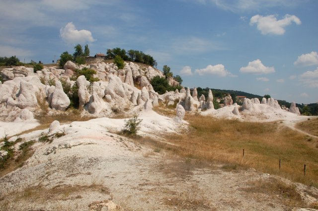 DSC_1298-1