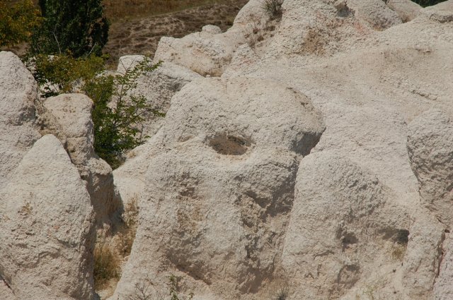 DSC_1325-1