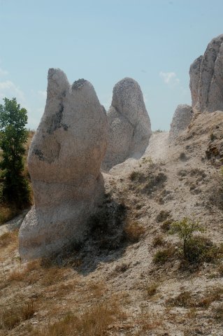 DSC_1337-1