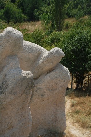 DSC_1533-1