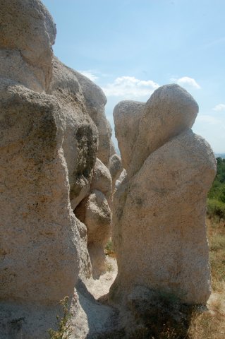 DSC_1536-1